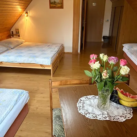 Πανσιόν Hamstejn 3*
